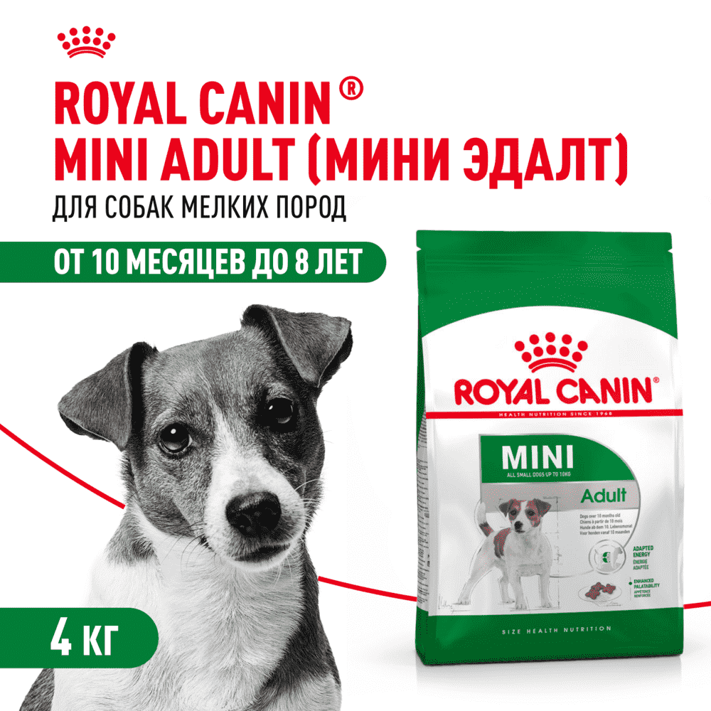 Корм для собак ROYAL CANIN Mini Adult для мелких пород от 10 месяцев сух. 4кг