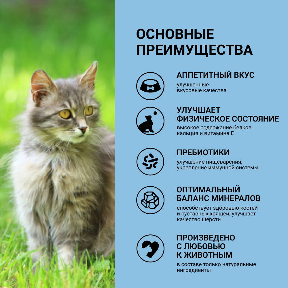 🐾 Купить Ownat Kitten Classic Сухой корм для котят, с курицей, 400 гр.  8800000153155, цена 399 ₽ в магазине или с доставкой на дом в городе Москва  | Fraulen