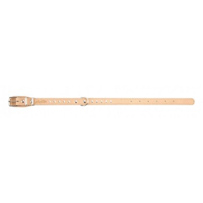 Аркон Ошейник для собак кожаный, обхват шеи 32-44 см, ширина 2 см, бежевый