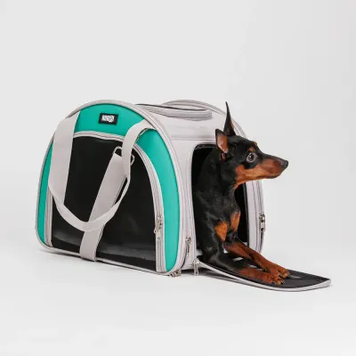 RURRI Сумка-переноска для кошек и собак мелких пород, 32х25х42 см