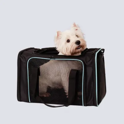 RURRI Сумка-переноска для кошек и собак мелких пород, 48х30х30 см