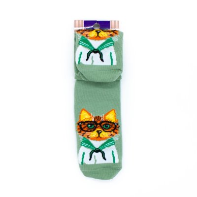 Носки MASTER SOCKS Кот в матроске зелёный мужские р.27