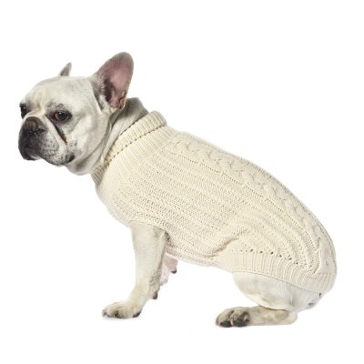 Свитер для собак Foxie Classic белый р. S (длина спины 30см)