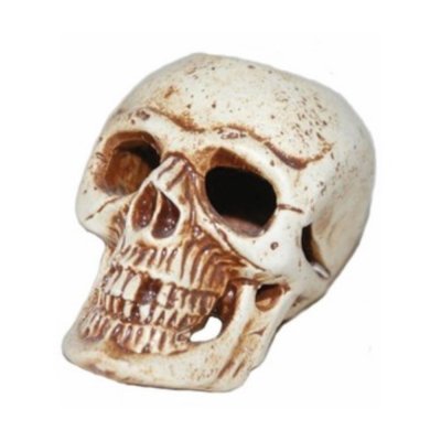 Декор для аквариумов ОРЛОВСКАЯ КЕРАМИКА Череп малый 55/90мм