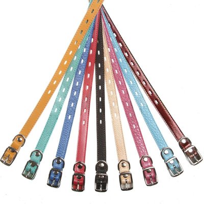 Ошейник для собак DOGGER щенячий цвет. 17мм