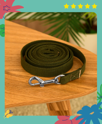 Ошейники, шлейки Yami Yami амуниция Брезентовый поводок с карабином (№1)