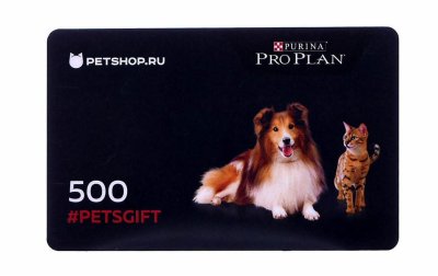 Подарочные сертификаты Сертификат Подарочный сертификат на 500 рублей (1 г)