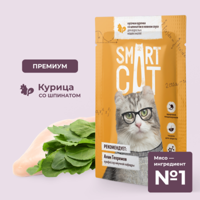 Консервы, паучи Smart Cat паучи Паучи для взрослых кошек и котят кусочки курочки со шпинатом в нежном соусе. Влажный корм (85 г)