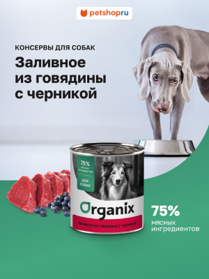 Консервы, паучи Organix консервы Консервы для собак Заливное из говядины с черникой. Влажный корм (750 г)