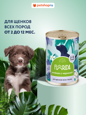 Консервы, паучи FLORIDA консервы Для щенков "Ягненок с черникой", 240 г. Влажный корм (400 г)