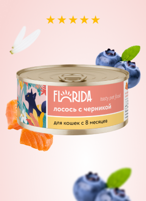 Холистики FLORIDA консервы для  кошек "Лосось с черникой", 100 г. Влажный корм (100 г)