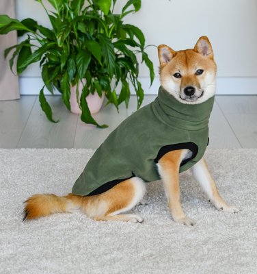 Для прогулок Lelap одежда Жилетка флисовая "Moss" для басенджи, зеленый (M)