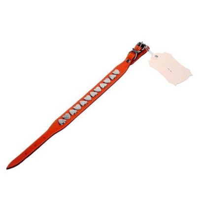 Ошейник для собак DOGGER расшир. цвет. 12мм