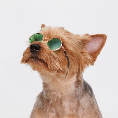 RURRI Очки солнечные для собак и кошек, зеленые