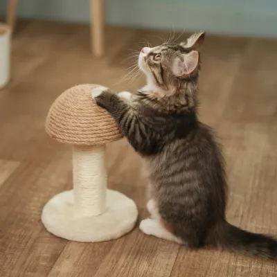 RURRI Когтеточка Гриб (22х14,5 см) из сизаля для кошек