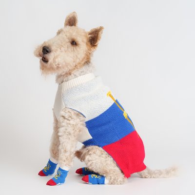 Petmax Свитер для кошек и собак Love, XL, сине-красный