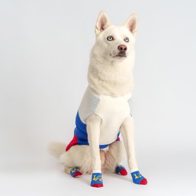 Petmax Свитер для собак Love, 3XL, сине-красный