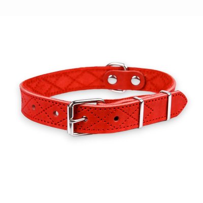 Аркон Ошейник для собак Новара, обхват шеи 37-51 см, ширина 2,5 см, красный
