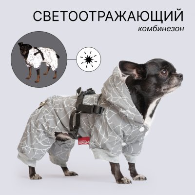 Petmax Комбинезон светоотражающий со шлейкой для собак, XS, серый (унисекс)