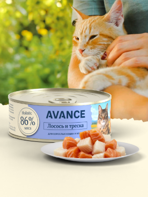 Холистики AVANCE holistic консервы Для кошек и котят с лососем и треской, Natural&Healthy Salmon&Cod, 100 г, Влажный корм (100 г)
