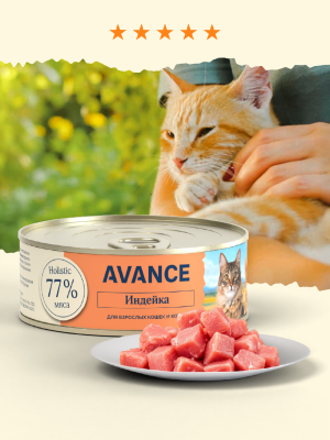 Холистики AVANCE holistic консервы Для кошек и котят с индейкой, Natural&Healthy Turkey, 100 г (100 г)