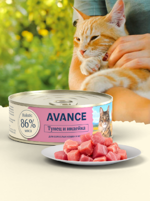 Холистики AVANCE holistic консервы Для кошек и котят с тунцом и индейкой, Natural&Healthy Tuna with Turkey, 100 г, Влажный корм (100 г)