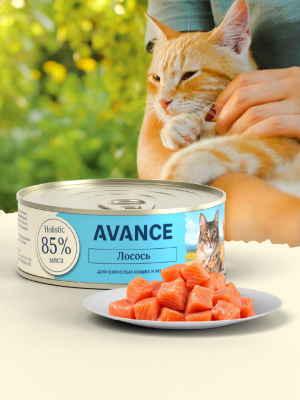 Холистики AVANCE holistic консервы Для кошек и котят с лососем, Natural&Healthy Salmon, 100 г, Влажный корм (100 г)