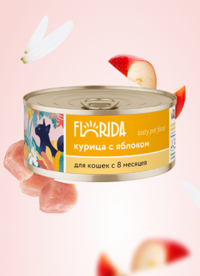 Холистики FLORIDA консервы Для кошек "Курица с яблоком", 100 г. Влажный корм (100 г)