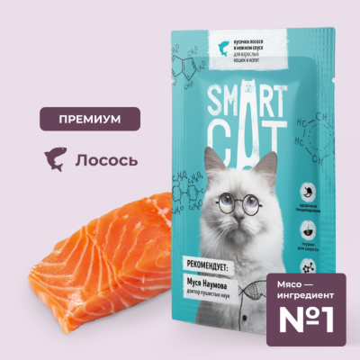 Консервы, паучи Smart Cat паучи Паучи для взрослых кошек и котят кусочки лосося в нежном соусе. Влажный корм (85 г)