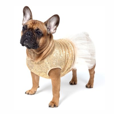 Платье для собак FORBULLDOGY Нарядное Рост Mini размер S DR-3 (Дл.спинки с юбкой 40см, цвет золотой)