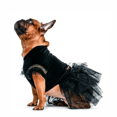 Платье для собак FORBULLDOGY Нарядное Рост Mini размер M DR-1 (Дл.спинки с юбкой 40см, цвет чёрный)