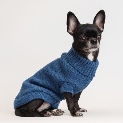 Petmax Свитер для кошек и собак, XS, синий