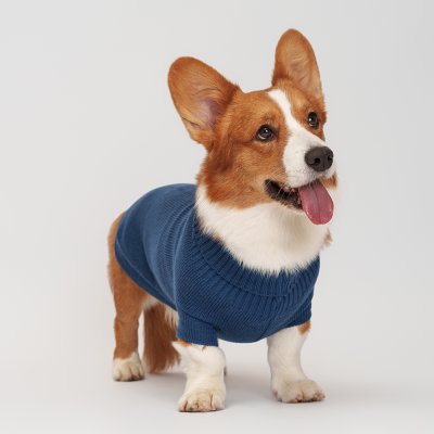 Petmax Свитер для собак, 4XL, синий