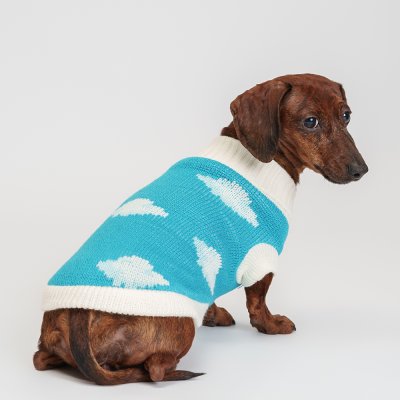 Petmax Свитер с облачками для кошек и собак, 2XL, голубой