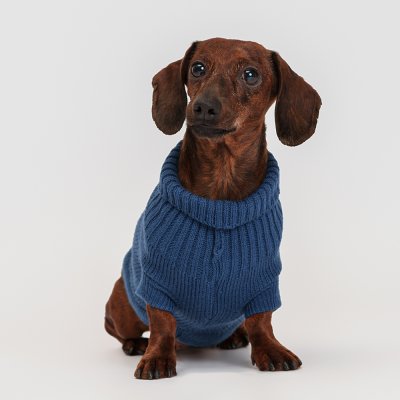 Petmax Свитер для кошек и собак, XL, синий