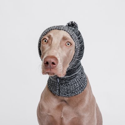 RURRI Капор для собак, 30х29 см, серый