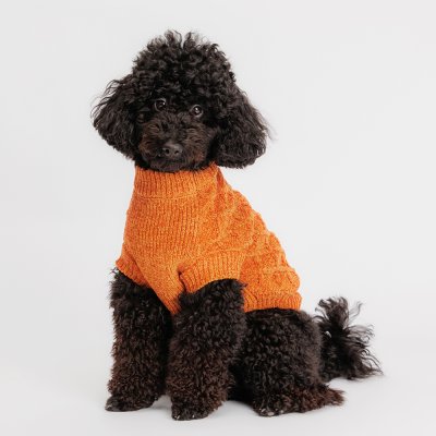 RURRI Свитер из шенилла для кошек и собак, L, желтый