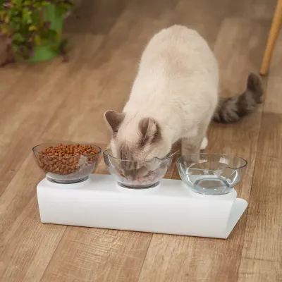 Petmax Миска тройная с ушками на подставке для кошек и собак, белая, 3 шт., 400 мл каждая