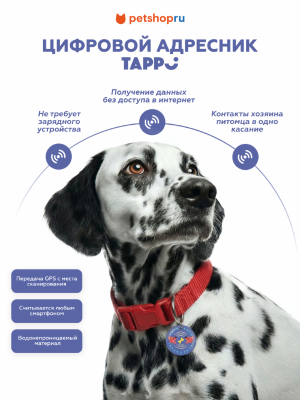 Ошейники, шлейки Tappi амуниция Цифровой адресник для животных, синий (3х3 см)