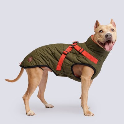 Rungo Попона теплая со шлейкой для собак, длина спины 65 см, объем груди 80-88 см, зеленая