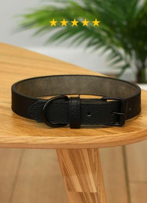 Ошейники, шлейки PETSHOP Ошейник для собак, цвет в ассортименте (2,5х47 см)