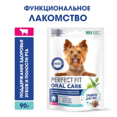 Лакомство для собак PERFECT FIT Здоровье п/рта говядина 90г