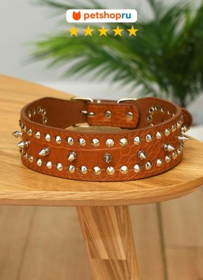 Ошейники, шлейки PETSHOP Ошейник для собак, 57х5.5 см (57х5.5 см)