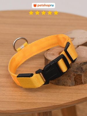 Ошейники, шлейки PETSHOP Светодиодный ошейник, S (S)