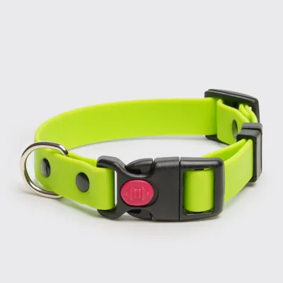 Rungo Ошейник для собак из биотана с фастексом, обхват шеи 20-31 см, ширина 1,5 см, салатовый