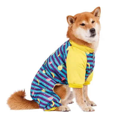Petmax Комбинезон в полоску с фруктами для собак, 4XL, голубой (унисекс)