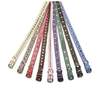 Ошейник для собак DOGGER с фурнитурой цветной 20 мм