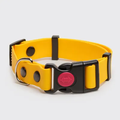 Rungo Ошейник для собак из биотана с фастексом, обхват шеи 30-42 см, ширина 2 см, желтый