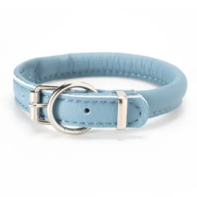 Аркон Ошейник круглый для кошек и собак мелких пород Candy, обхват шеи 27-35 см, голубой