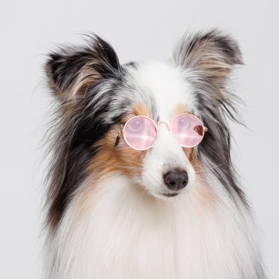 RURRI Очки солнечные для собак и кошек, розовые